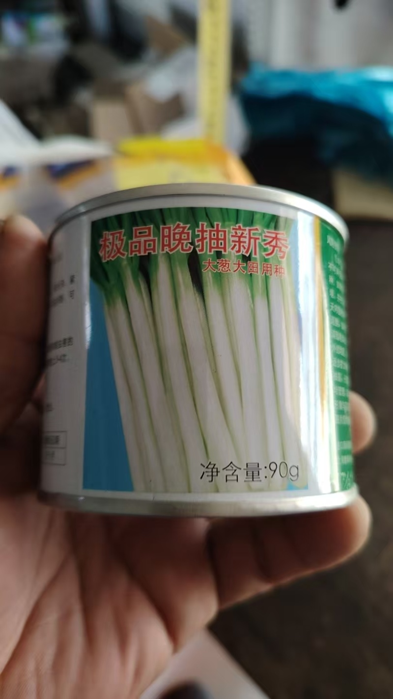 四季小香葱种子全国包邮质量保证免费提供种植技术