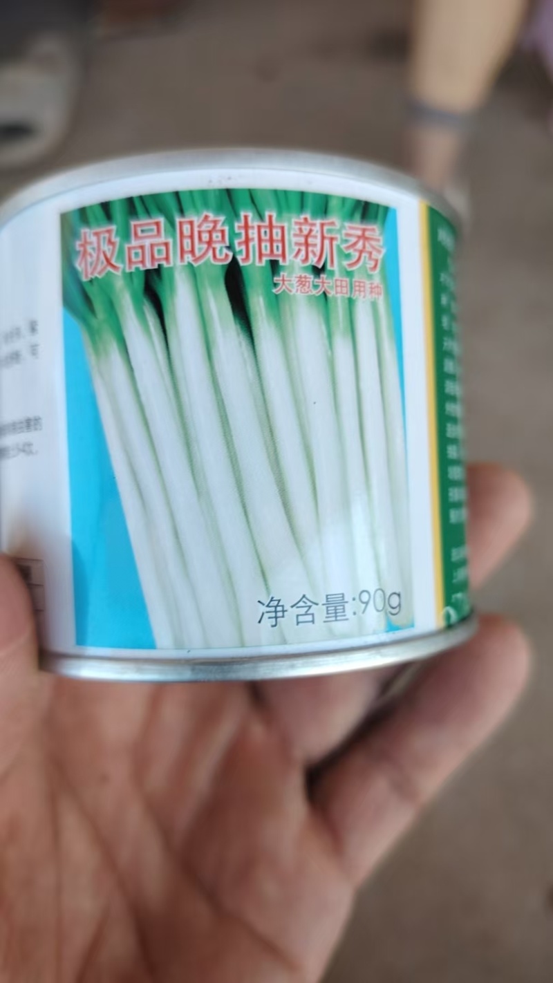 四季小香葱种子全国包邮质量保证免费提供种植技术