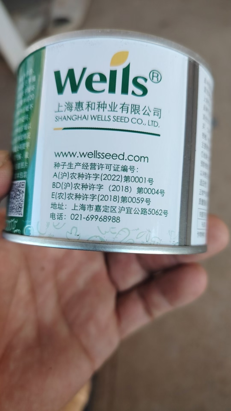 四季小香葱种子全国包邮质量保证免费提供种植技术