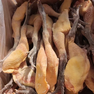 腿连翅