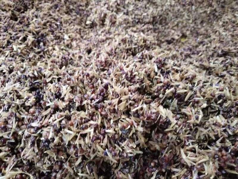 重庆小酿引酒业纯粮（高粱）固态法传统工艺53度清香型白酒