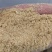 高品质玉米面，蛋白含量高，可代替部分高价位饲料适口性好！