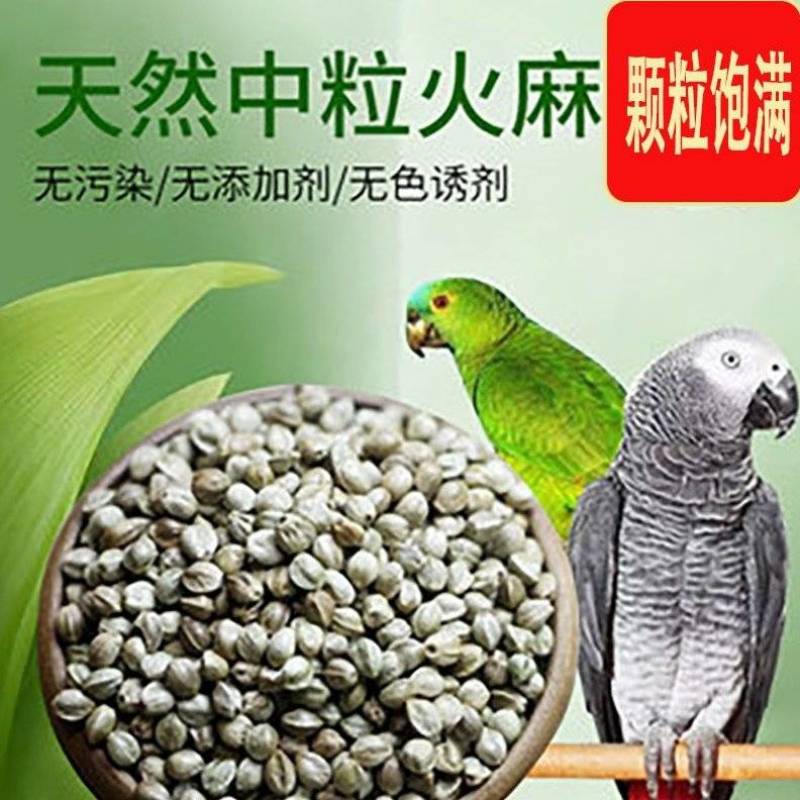 火麻仁批发中草药材原材鸽粮鸟食麻子麻籽散装颗粒饱满仓鼠粮