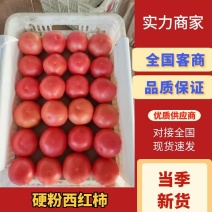 硬粉西红柿，产地直销，质量好，价格便宜。暖棚新货上市啦。