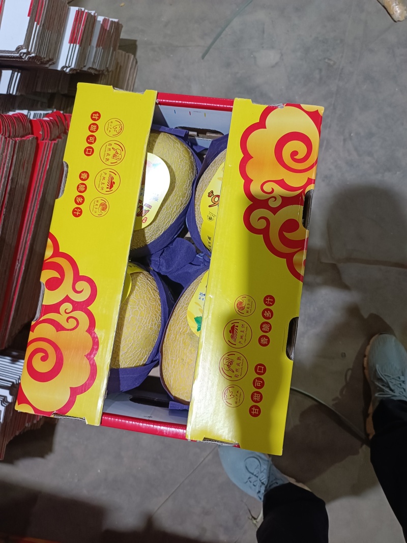 奋金六号产地直发，货源充足，皮薄肉厚。