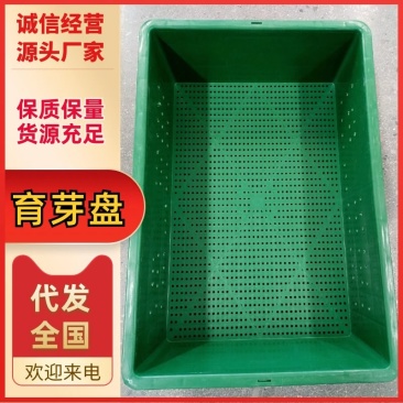 水培花生芽/芽苗菜/育芽催芽盘/66高100高155高