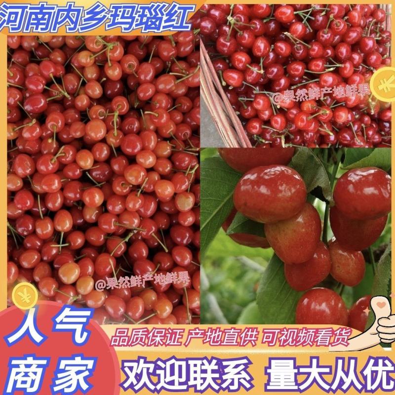 河南内乡樱桃本地露天小樱桃价格实惠欢迎联系