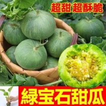 嫁接绿宝甜瓜苗，实力苗场直发保真，郝有财