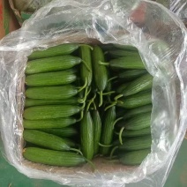 水果小黄瓜