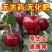 山东樱桃美早樱桃-产地直发-价格优惠-支持看货电商果