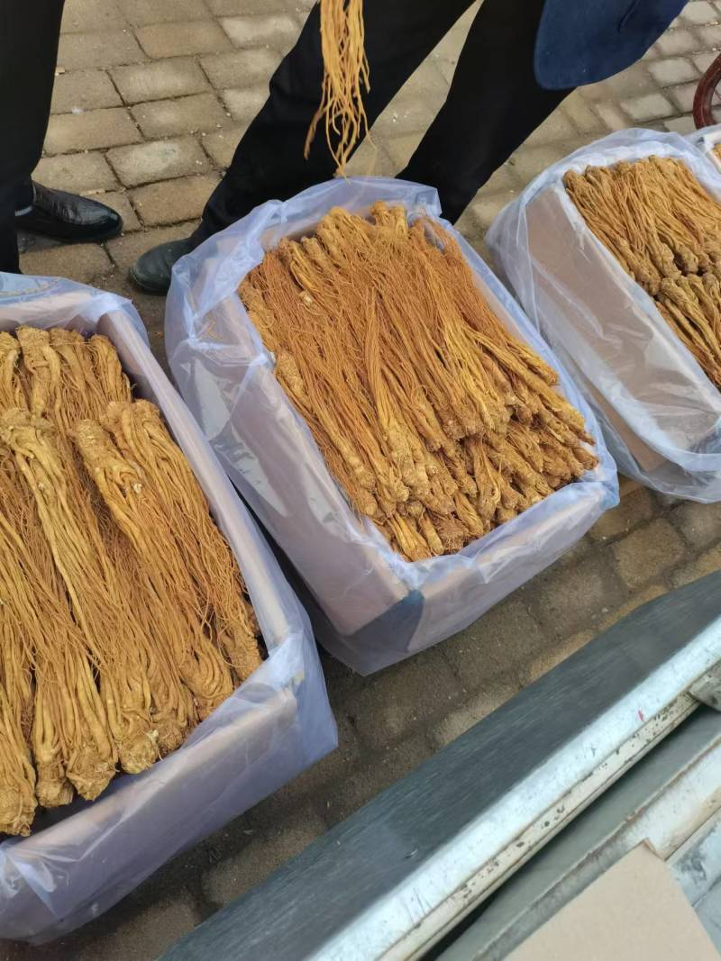 【热卖推荐】甘肃定西岷县水洗黄当归产地直发量大从优欢迎