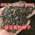 新鲜黄柏种子，优质原产地，种植养护简单，助您打造绿色家园，