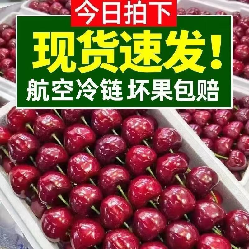 推荐樱桃美早樱桃萨米托产地直供价格实惠