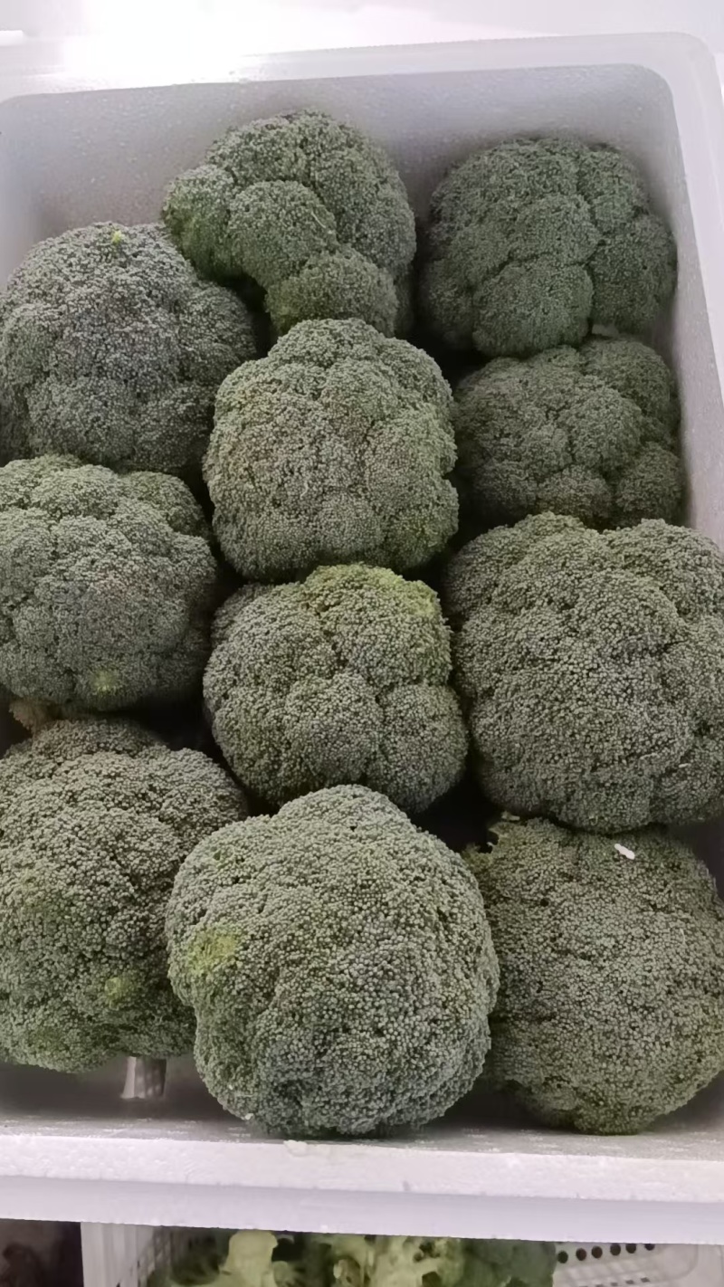 西兰花守护全家健康