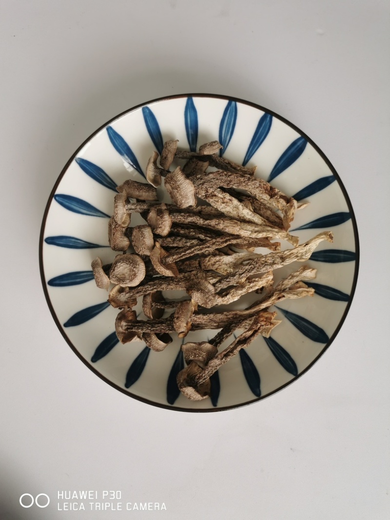 【鲜品】瓶栽鹿茸菇/干货/自有工厂/现货速发