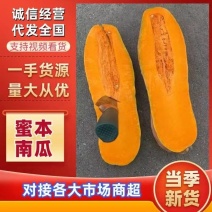 【优选】蜜本南瓜量大从优源头产地全国可发对接商超