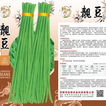 靓豆豆角豇豆种子中早熟翠绿长豆角种子厂家直销