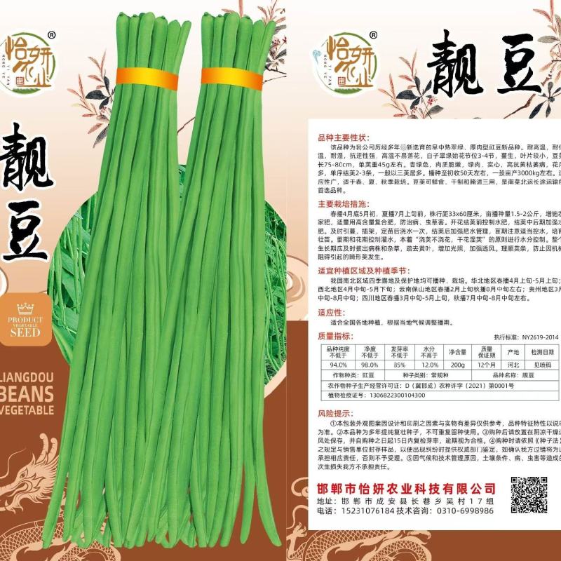 靓豆豆角豇豆种子中早熟翠绿长豆角种子厂家直销