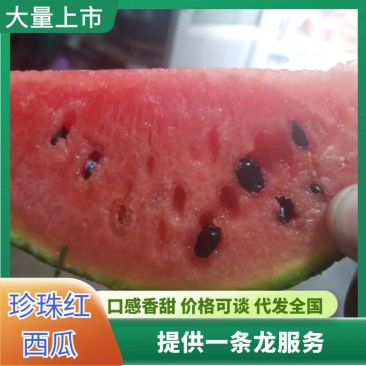 精品西瓜礼品小西瓜珍珠红甘甜可口皮薄糖分大手掰瓜
