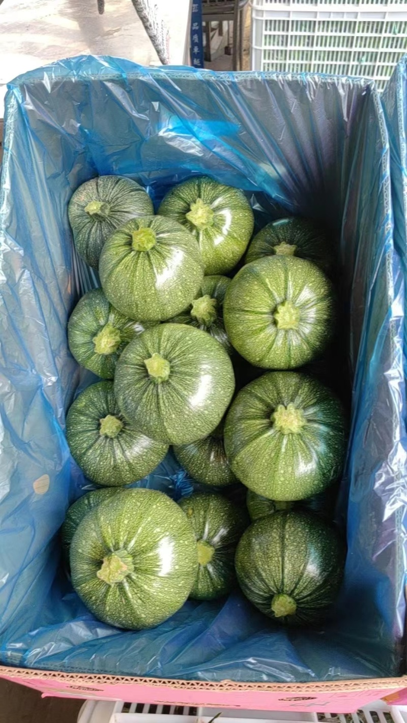 精品小南瓜正在上市中表皮干净无擦伤鲜嫩软糯耐运输储存货量大
