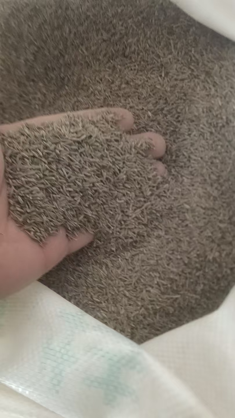 精品新疆孜然，厂家直销，精挑细选量大从优，欢迎电话联系
