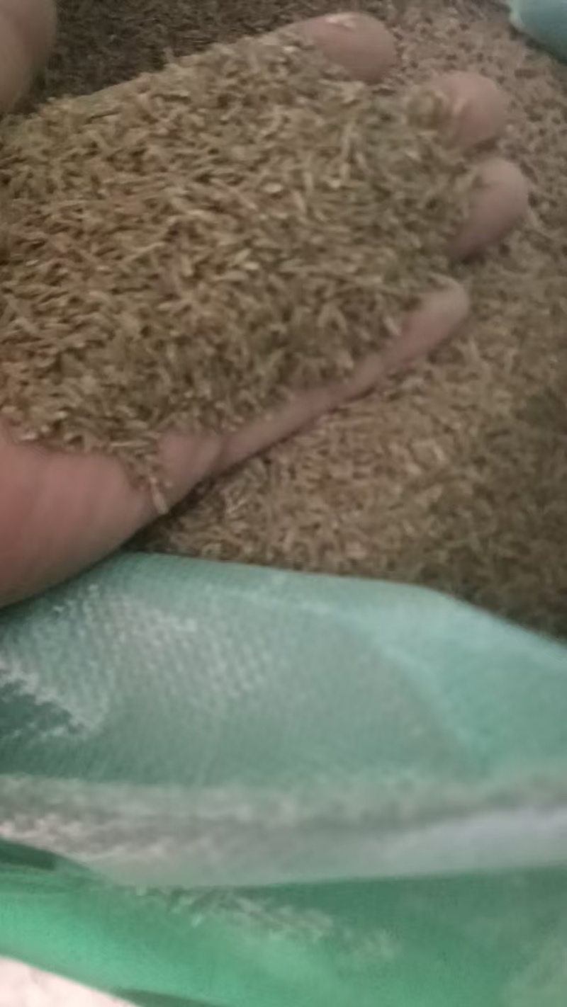 精品新疆孜然，厂家直销，精挑细选量大从优，欢迎电话联系