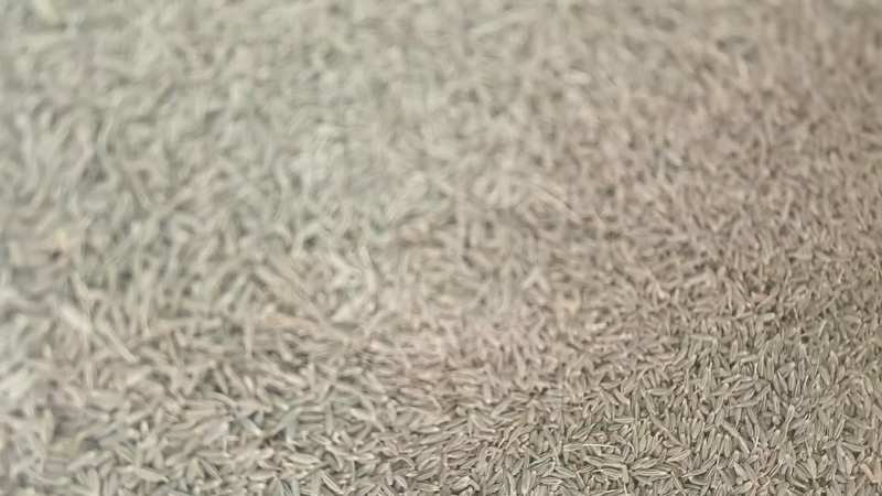 精品新疆孜然，厂家直销，精挑细选量大从优，欢迎电话联系