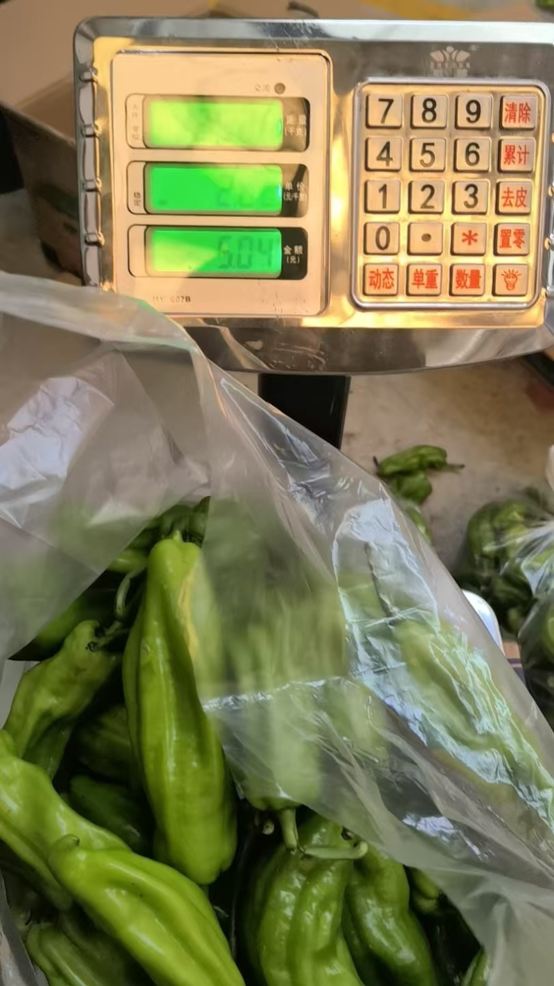 山东费县薄皮辣椒青辣椒鲜辣椒产地直发量大价优