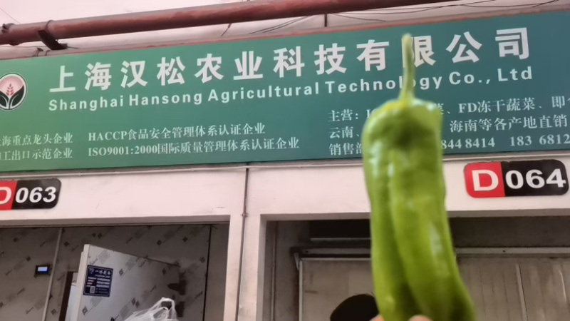 江苏淮安薄皮椒青辣椒鲜辣椒品质优良量大价优