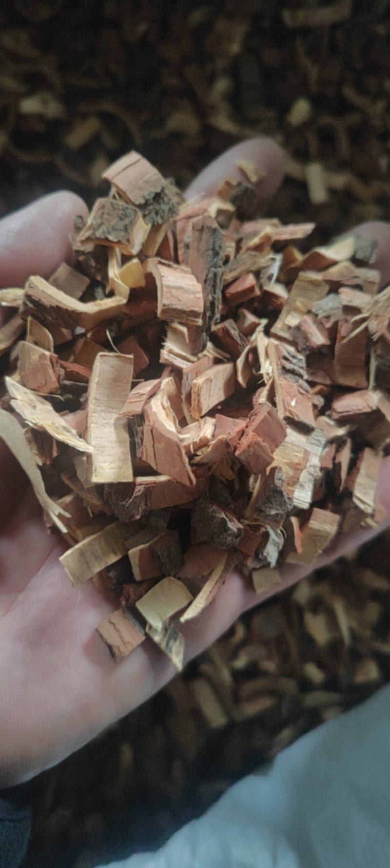苦楝皮干货中药材苦练皮楝木皮欢迎选购！