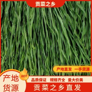 优质贡菜产地直供品质保证自然晾干量大价优欢迎致电