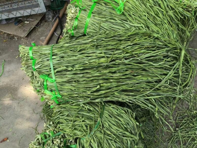 优质贡菜产地直供品质保证量大价优全国发货欢迎致电