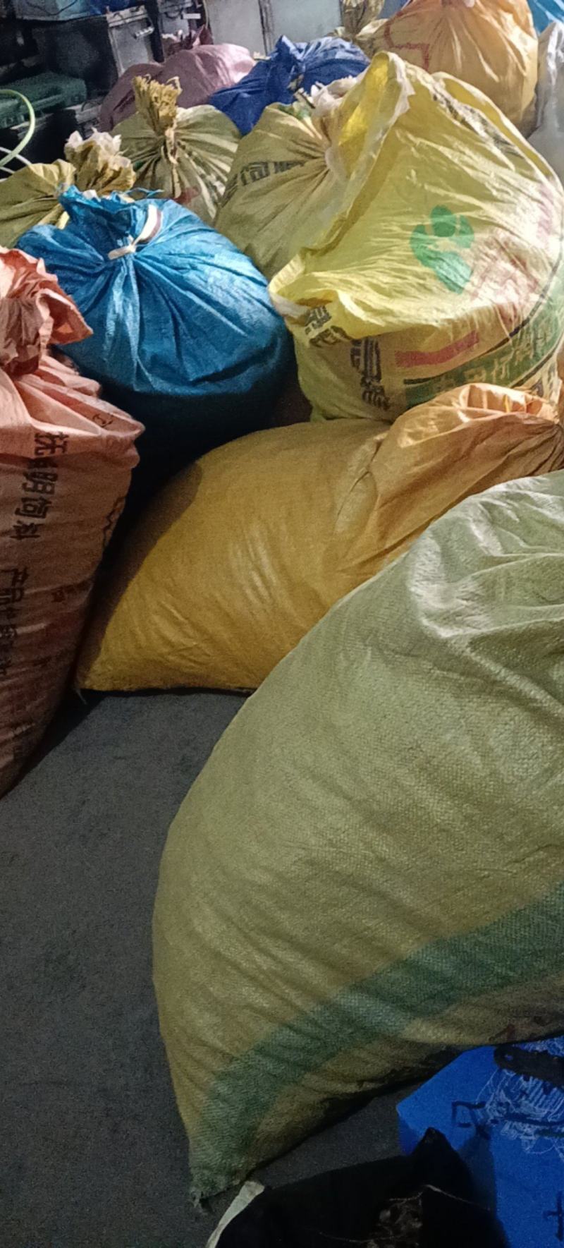 精品三年赤芍苗，抗寒高成活率，基地直发，现货现货