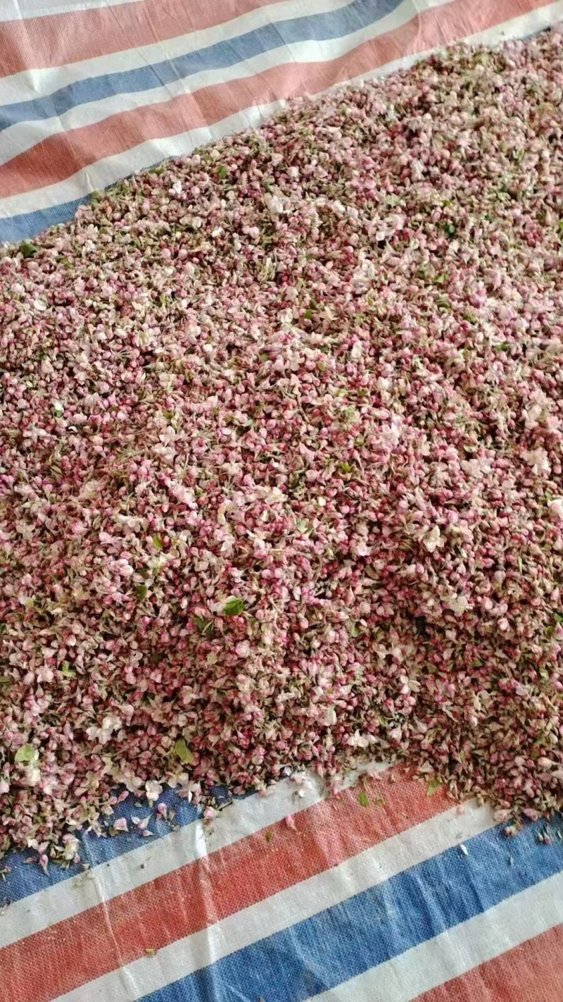 苹果芪