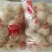 湖南米粉手工米粉纯正米粉对接各大平台