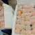 金太阳杏，水果金太阳杏，大量上市中，当季热销，品质保证
