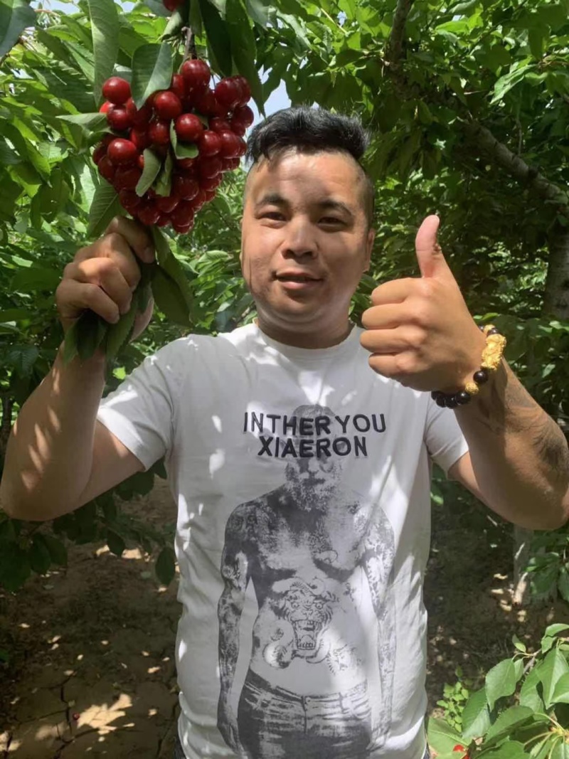 美早樱桃