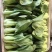 【上海青】山东精品小油菜大量供应可对接商超，食品厂。脱水