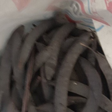 皂角干