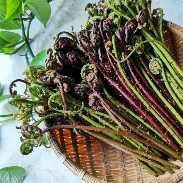 保证质量，精诚合作，季节性采摘，长期保证不了