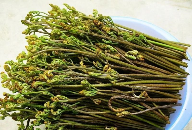 保证质量，精诚合作，季节性采摘，长期保证不了