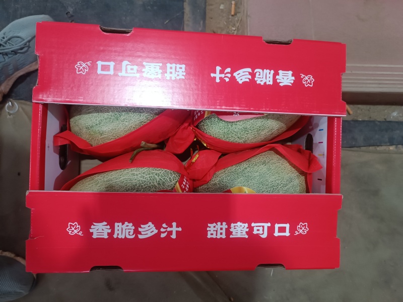 海南哈密瓜晓蜜25号箱装货，产地直发，货源充足，口感脆甜