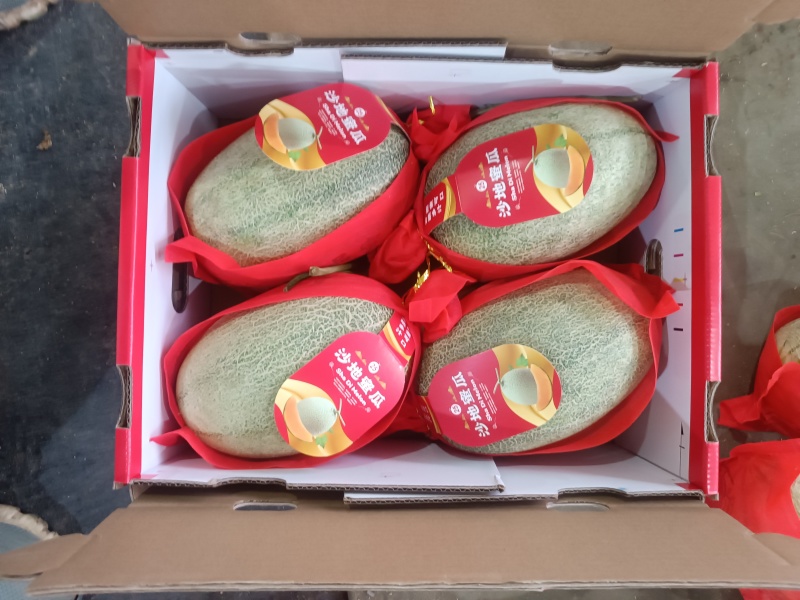 海南哈密瓜晓蜜25号箱装货，产地直发，货源充足，口感脆甜