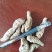 生地黄大量供应武陟县产地直发，量大从优，欢迎咨询。