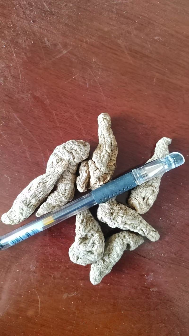 生地黄大量供应武陟县产地直发，量大从优，欢迎咨询。