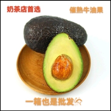 茉昔哥催熟牛油果供奶茶店西餐厅使用即食牛油果