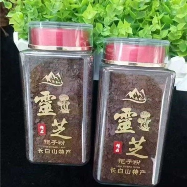 灵芝孢子粉吉林产地直发保质保量供货批发零售
