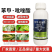 40%苯甲吡唑酯杀菌剂白粉病柑橘辣椒炭疽病专用药沙皮病
