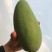云南大青芒，玉芒支持电商一件代发