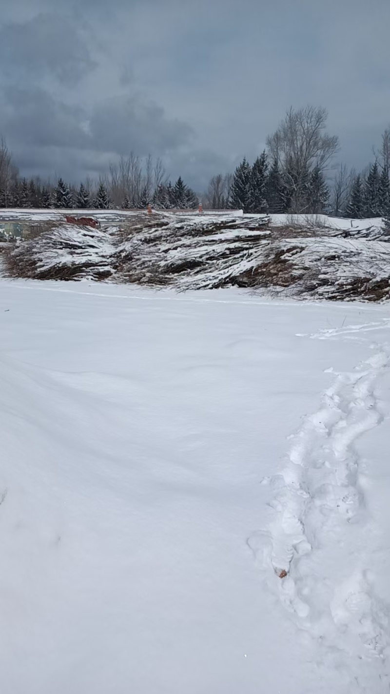 柳条自产自销规格齐全天南地北配送